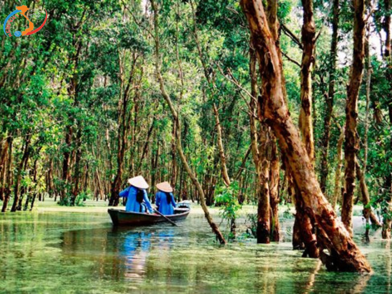 ĐỒNG THÁP -  MÙA NƯỚC NỔI