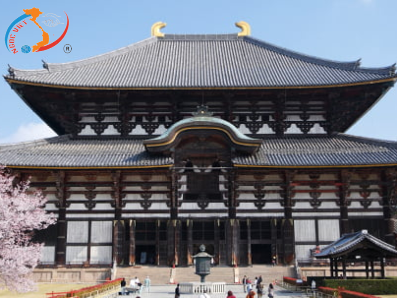 TOUR  NHẬT BẢN - TOKYO – NÚI PHÚ SĨ – NAGOYA – KYOTO - KANSAI - MÙA HOA  ANH ĐÀO (THÁNG 3)