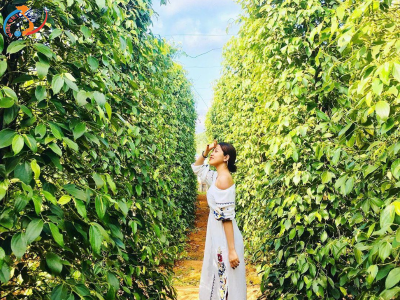 ĐẢO NGỌC PHÚ QUỐC - CHECK-IN THÀNH PHỐ KHÔNG NGỦ GRAND WORLD